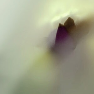 photographie d'art de bertil hansson sur le site de vente en ligne de la galerie 22