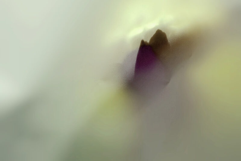 photographie d'art de bertil hansson sur le site de vente en ligne de la galerie 22