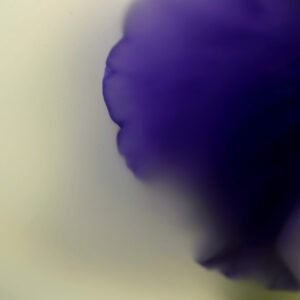 photographie d'art de bertil hansson sur le site de vente en ligne de la galerie 22