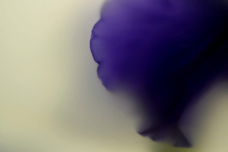 photographie d'art de bertil hansson sur le site de vente en ligne de la galerie 22
