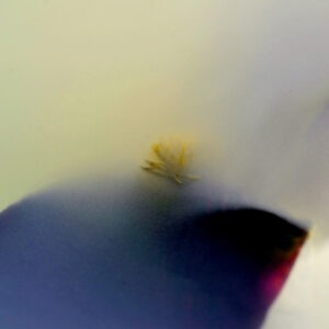 photographie d'art de bertil hansson sur le site de vente en ligne de la galerie 22