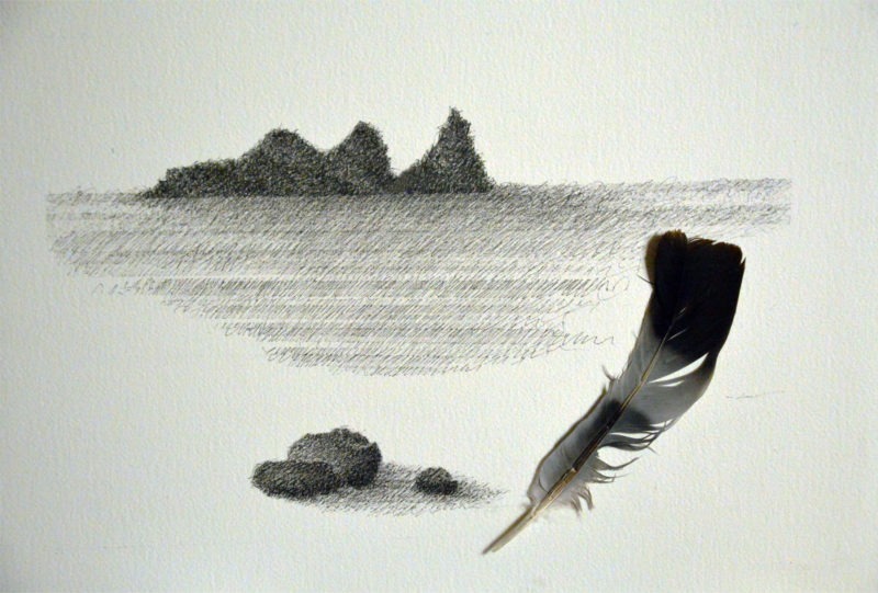 contemporary drawing in ink on Arches paper by Pierre Ribà on sale in the online shop of Galerie 22 contemporary