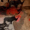 africeros est une peinture sur papier art d'enrique mestre-jaime à la vente dans la boutique de la galerie 22 contemporain