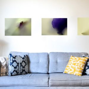 photos de Bertil Hansson