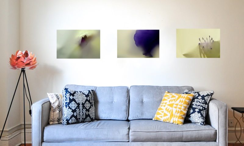 photos de Bertil Hansson