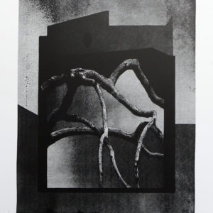 encre de chine sur papier noir et blanc de thomas de vuillefroy