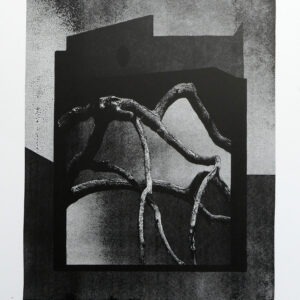 Indian ink on black and white paper by thomas de vuillefroy