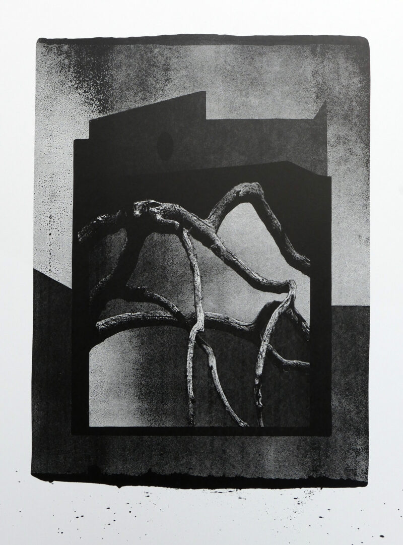 Indian ink on black and white paper by thomas de vuillefroy
