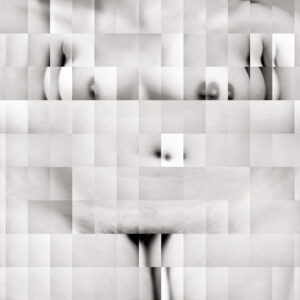 tirage numerique  sur dibond de jean philippe pernot artiste photographe de la galerie22